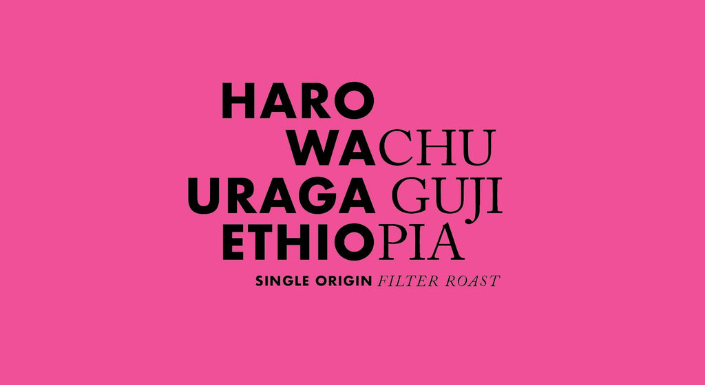 *New Coffee Release* Haro Wachu- Ethiopia